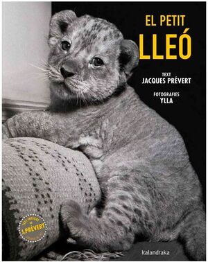 EL PETIT LLEÓ