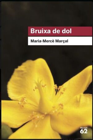 BRUIXA DE DOL (1977-1979)