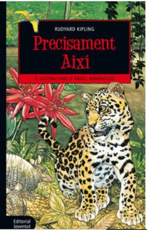 PRECISAMENT AIXÍ