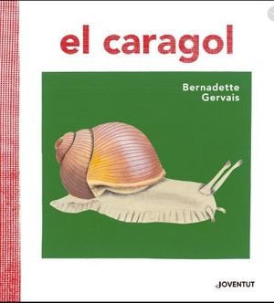 EL CARAGOL