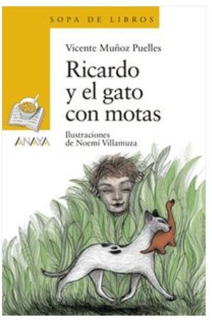 RICARDO Y EL GATO CON MOTAS