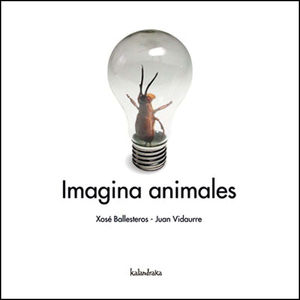 IMAGINA ANIMALES